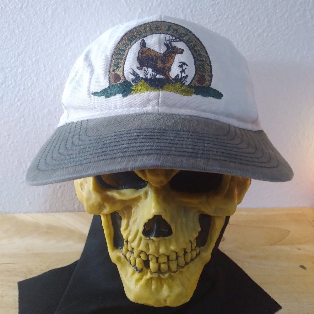 Vintage Willamette Industries Two Tone Snap Back Hat